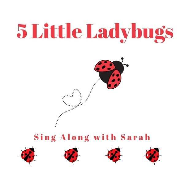 Cover art for 5 Little Ladybugs