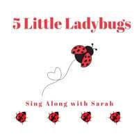 5 Little Ladybugs